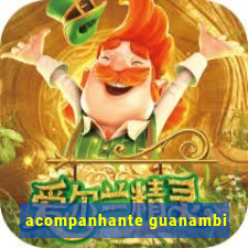 acompanhante guanambi