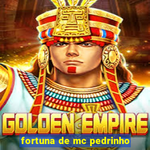 fortuna de mc pedrinho