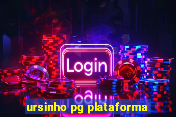 ursinho pg plataforma