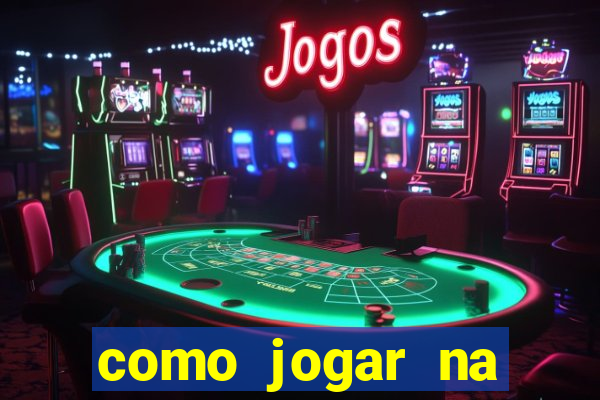 como jogar na lotinha do jogo do bicho