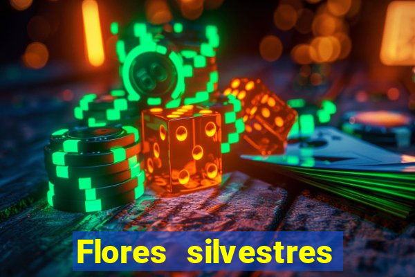 Flores silvestres brasileiras 25