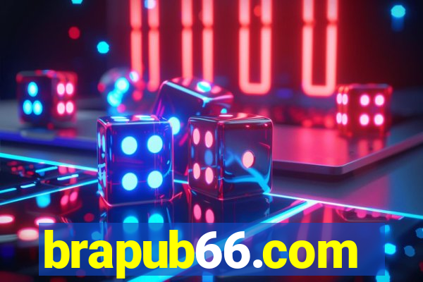 brapub66.com