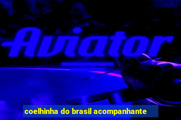 coelhinha do brasil acompanhante