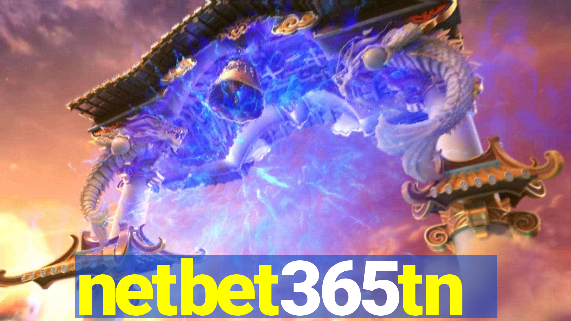 netbet365tn