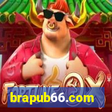 brapub66.com