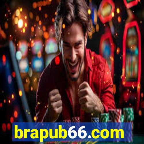 brapub66.com