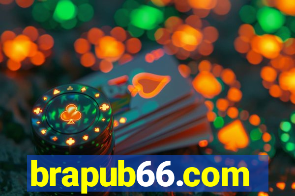 brapub66.com