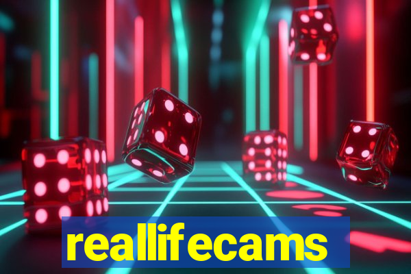 reallifecams