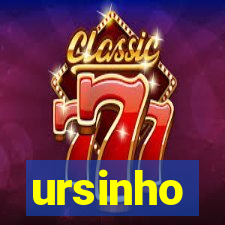 ursinho-pg.com